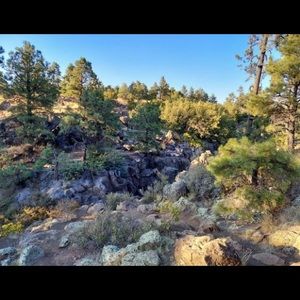 Meet your Posher, Fallon